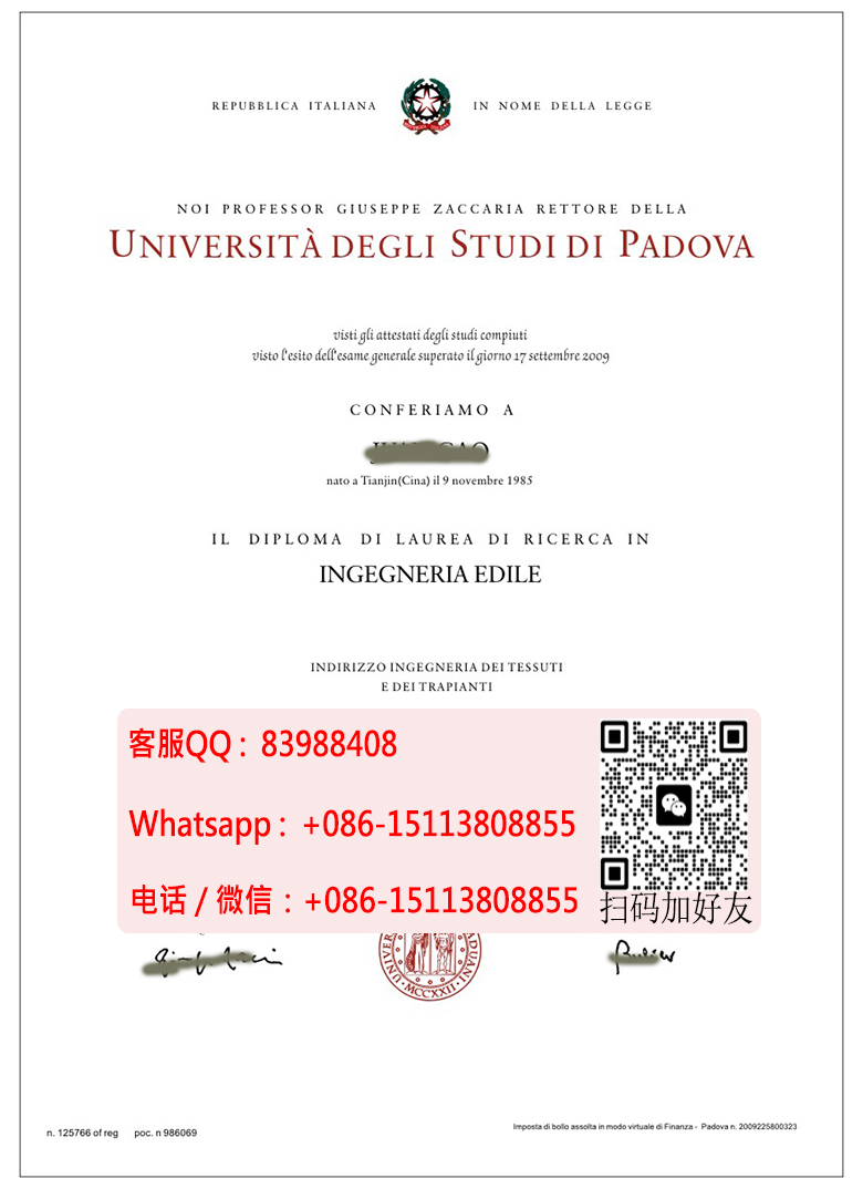 意大利帕多瓦大学毕业证书样本Università degli Studi di Padova Diploma Certificate.jpg